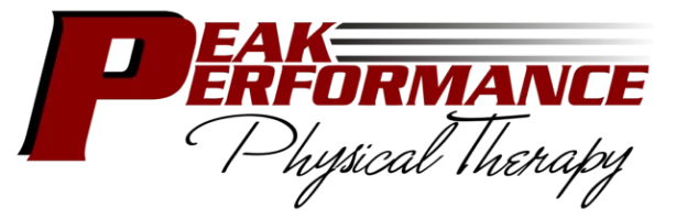 Physical Therapy Michigan