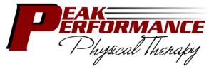 peak-performance-physical-therapy-logo--lansing-okemos-dewitt-mason-mi-01