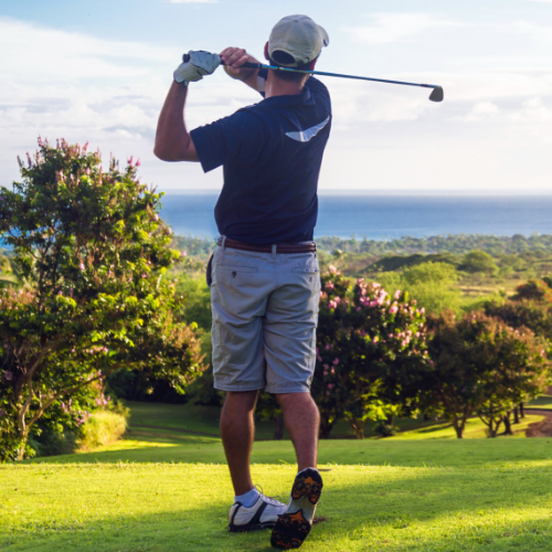 tpi-golf-peak-performance-dewitt-mason-lansing-mi